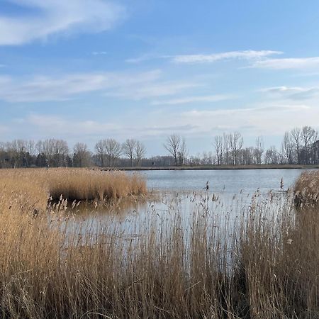 Ferienidyll Bartling Haus Vineta Wg 8 Im Alten Ortskern, Modern, Gemuetlich ツェンピン エクステリア 写真